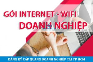 Read more about the article Phân tích chi tiết các gói cước mạng doanh nghiệp CMC – Phường Bình Lợi Trung TP HCM