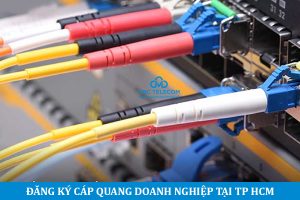Read more about the article Tổng hợp đầy đủ bảng giá internet cáp quang doanh nghiệp CMC – Phường Phú Thạnh TP HCM